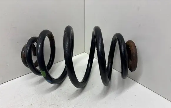 Rear coil spring