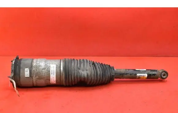 Tesla Model S Rear shock absorber/damper 600635300C