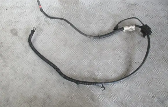 Ford Grand C-MAX Negative earth cable (battery)