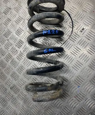 Rear coil spring