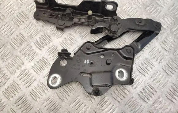 BMW X5 G05 Engine bonnet/hood hinges 7418202