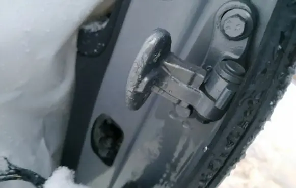 Rear door lower hinge