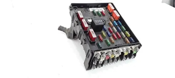 Volkswagen PASSAT B6 Fuse module