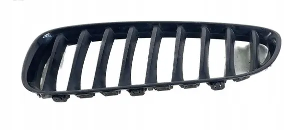 BMW Z4 E89 Front bumper upper radiator grill 40502054