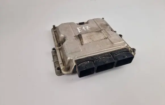 Renault Scenic I Engine control unit/module 8200197968 0281010980 8200091416