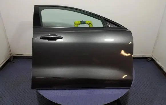 Ford Focus Front door 