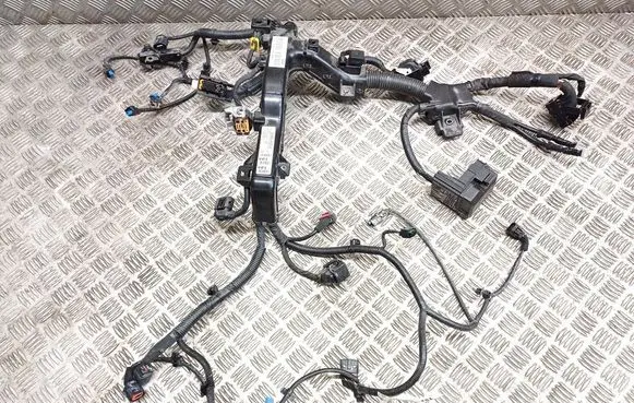 Engine installation wiring loom