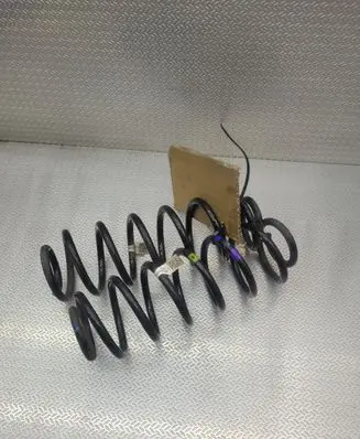 Hyundai Kona I Rear coil spring 55335J9610