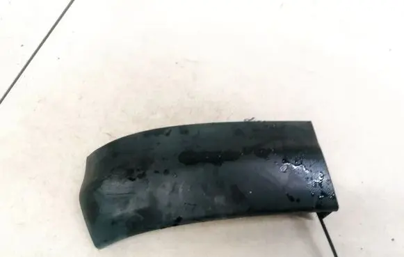 Rear/tail light trim molding