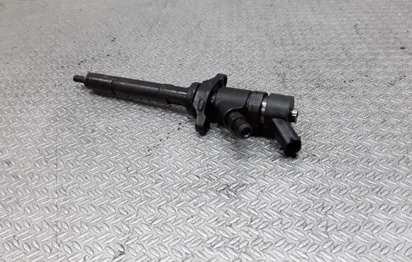 Citroen C5 Fuel injector 0445110188