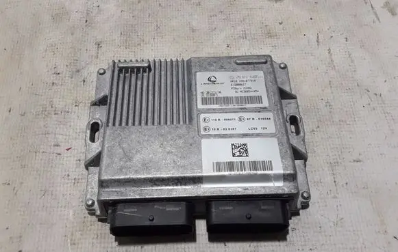 Dacia Sandero III Other control units/modules 169107791R