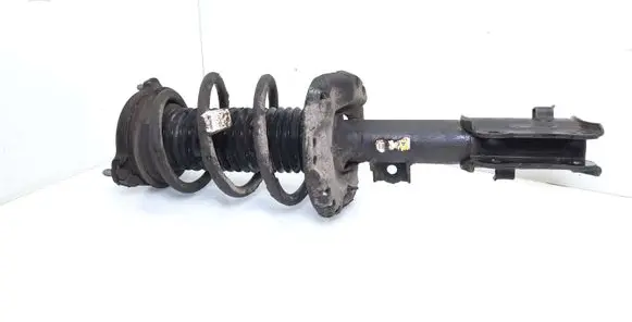 Hyundai Ioniq Front shock absorber with coil spring