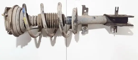 Renault Laguna II Front shock absorber/damper 20633367