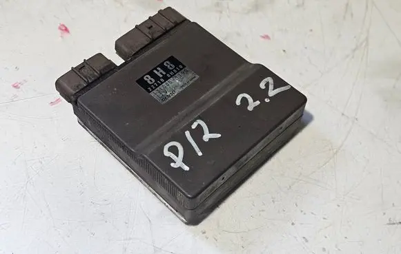 Nissan Primera Fuel injection control unit/module 1310001190 227108H810