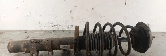 Citroen C3 Front shock absorber with coil spring