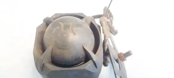 Ford Focus Alarm system siren 