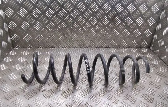 Rear coil spring