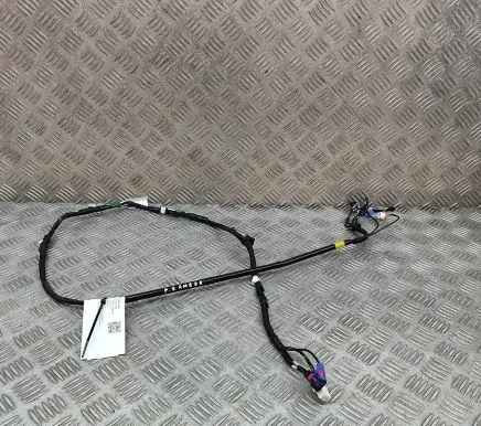 Other wiring loom