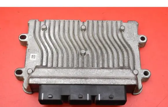 Engine control unit/module ECU