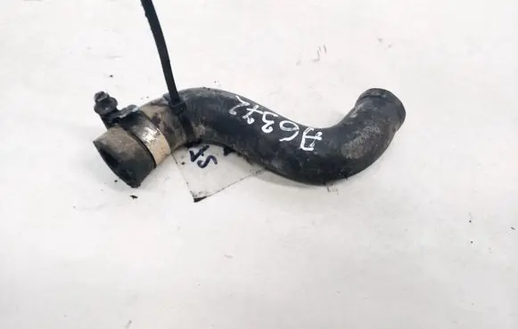 BMW 5 E39 Engine coolant pipe/hose