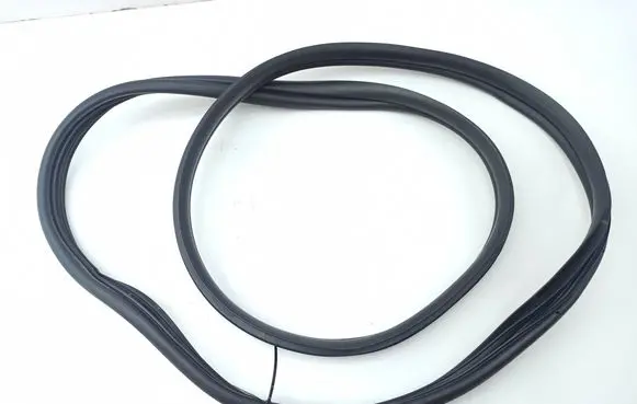 KIA Niro Rear door rubber seal (on body)