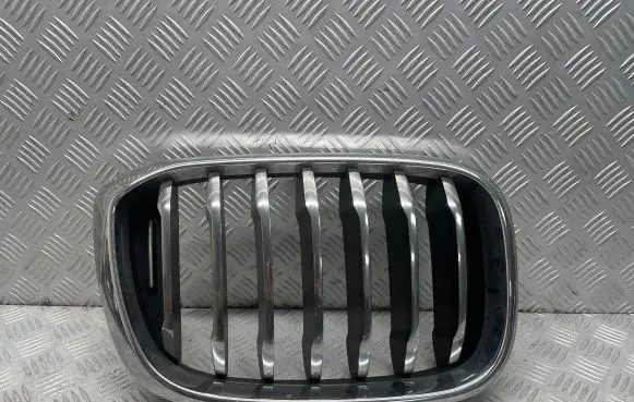 BMW X3 G01 Front grill 8091726