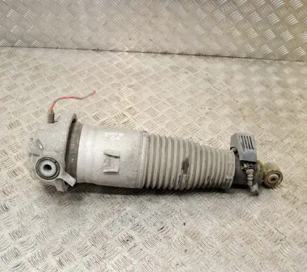 Audi Q7 4L Rear shock absorber/damper 7L8616019A
