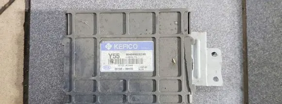 KIA Sorento Engine control unit/module 3910639435