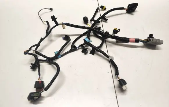 Other wiring loom