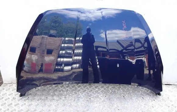 Ford B-MAX Engine bonnet/hood asdf
