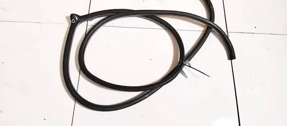 Nissan Murano Z50 Rubber seal front coupe door 