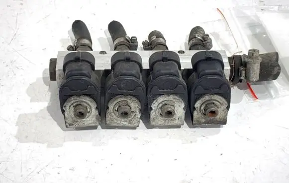 Ford Focus C-MAX LP gas injector 110-R000044