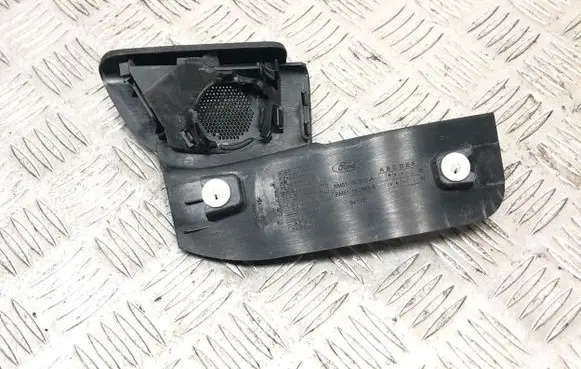 Front door high frequency speaker