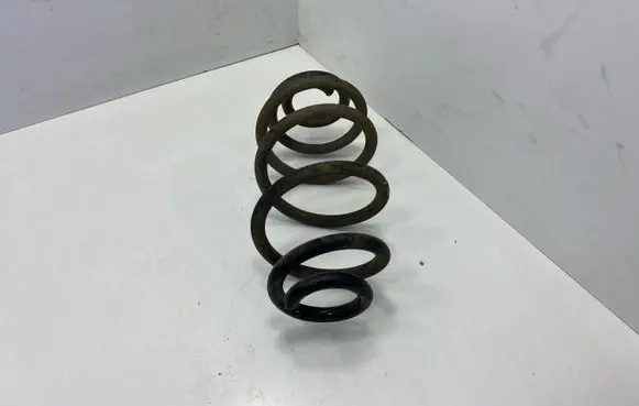 Opel Insignia A Rear coil spring 