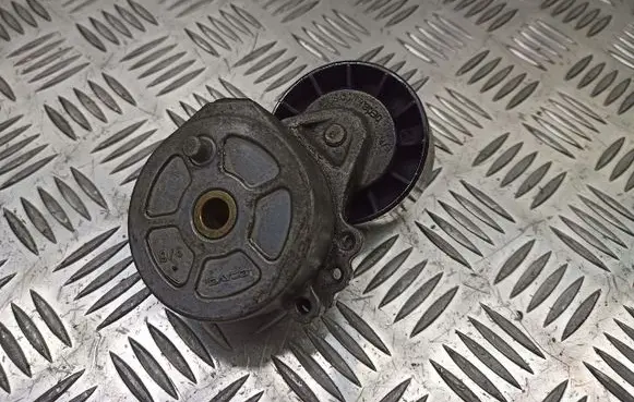 Citroen C5 Alternator belt tensioner pulley TB0030