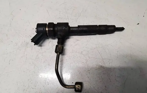 Fiat Punto (188) Fuel injector 0445110019