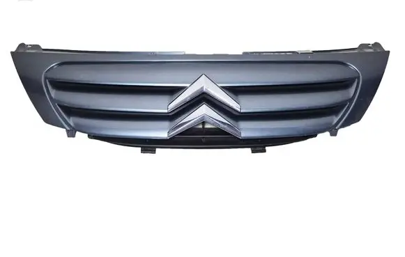Citroen C3 Front grill