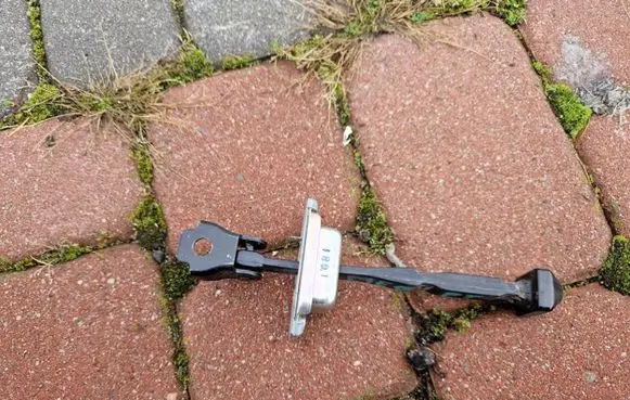 Renault Megane IV Rear door check strap stopper 11TYS