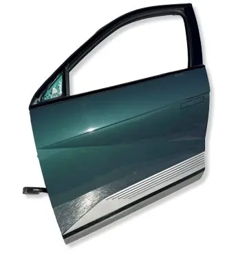 Hyundai Ioniq 5 Front door 