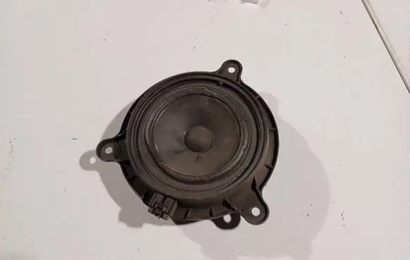 Front door speaker