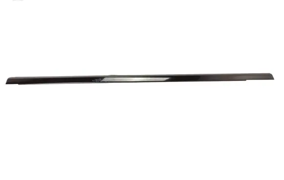 Rear door glass trim molding