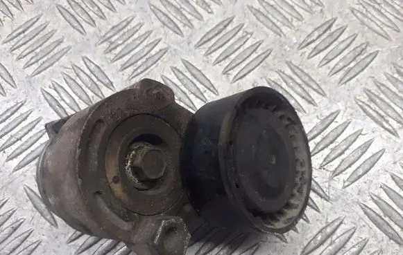 Renault Megane II Alternator belt tensioner pulley 