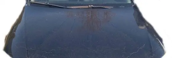 Volkswagen PASSAT B6 Engine hood trim 