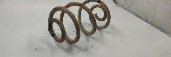 Rear coil spring