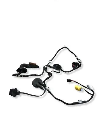 Audi Q5 SQ5 Front door wiring loom 8R0971030 TAB010766TS