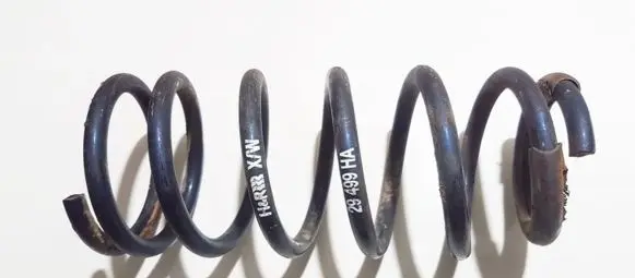 Rear coil spring