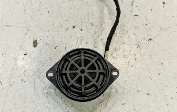 Panel speaker