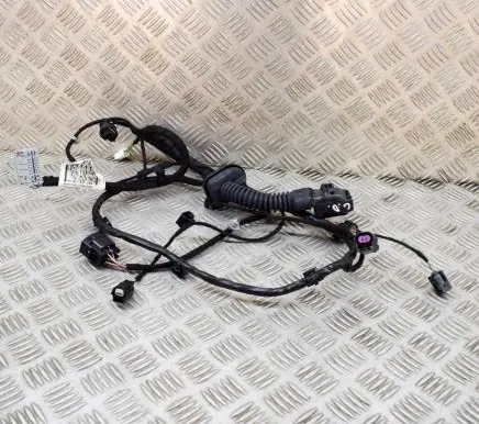 Maserati Levante Other wiring loom 670101376 06701013760