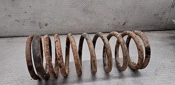 Land Rover Discovery Rear coil spring