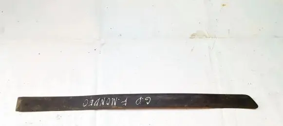 Rear door trim (molding)
